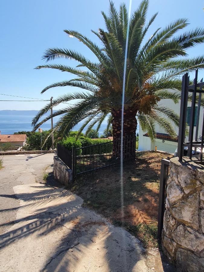 Iva Apartament